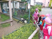 Výlet do ZOO Chleby a Labyrintária Loučeň